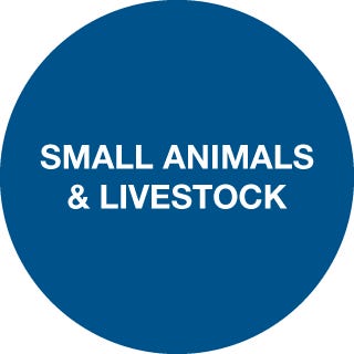 click for small animals and livestock sales