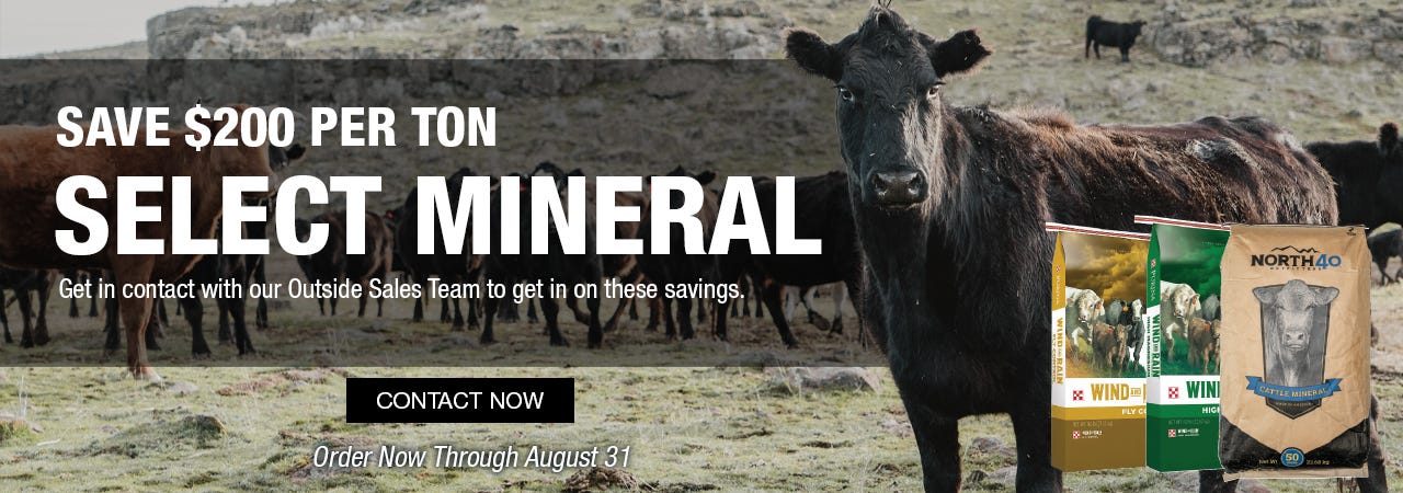 A group of black cows grazing in a pasture with a close-up of one cow in focus. Text reads “Save $200 per ton, Select Mineral.” Mineral product bags are displayed.