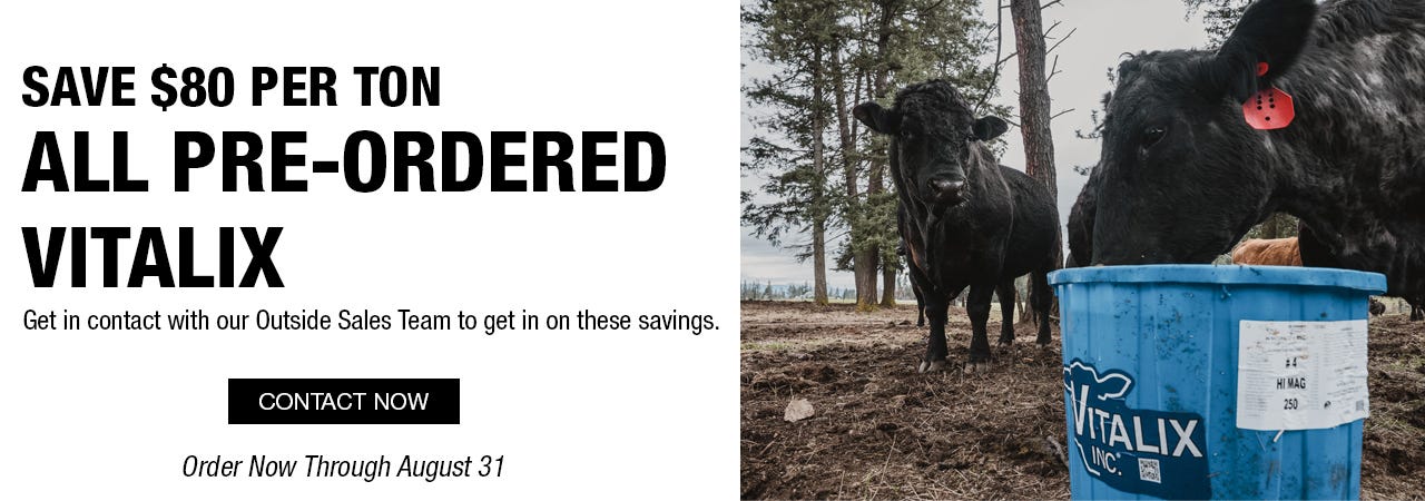 Cows eating from a blue Vitalix bucket in a wooded area. Text offers $80 savings per ton on pre-ordered Vitalix products. Deadline: August 31.