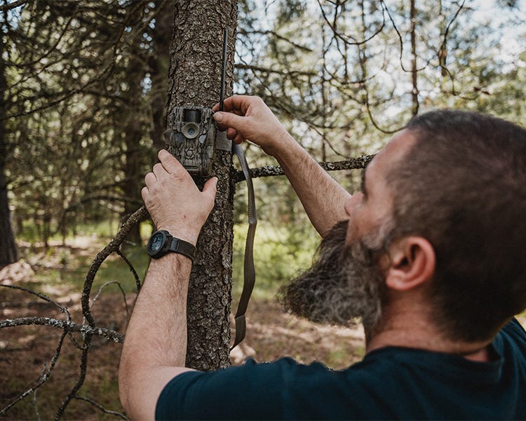 A bearded man setting up a stealth cam game camera on a tree in the woods