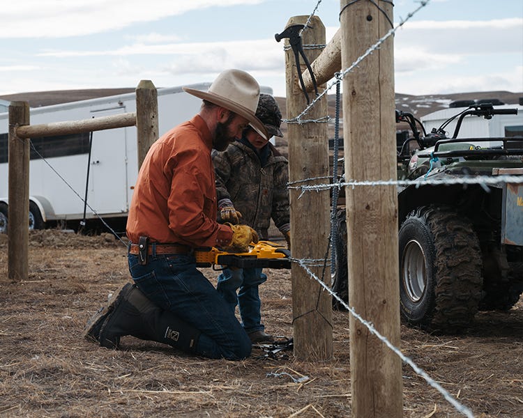 Rancher and son stapling barbed wire to wooden post.