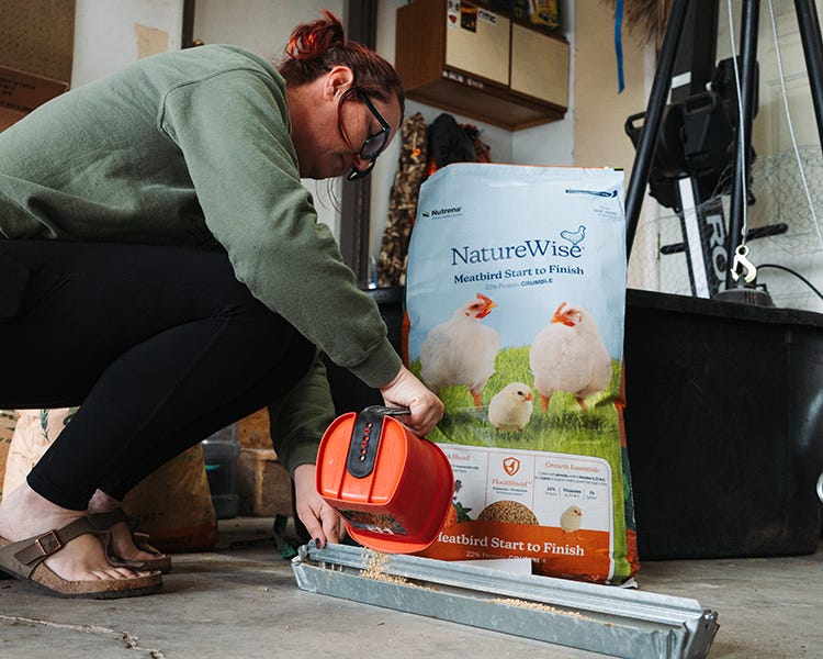 Pouring Nature Wise Meatbird Start to Finish crumble into feeder.