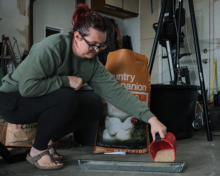 Pouring Country Companion Meat Bird feed into feeder.