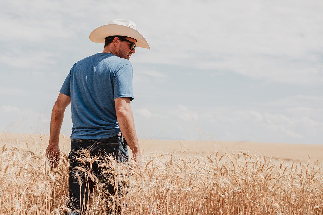 Shay walks through a wheat field with Smith and Rogue jeans, a blue shirt, and a cowboy hat on