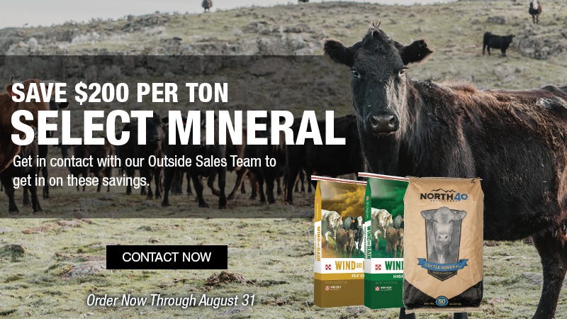A group of black cows grazing in a pasture with a close-up of one cow in focus. Text reads “Save $200 per ton, Select Mineral.” Mineral product bags are displayed.