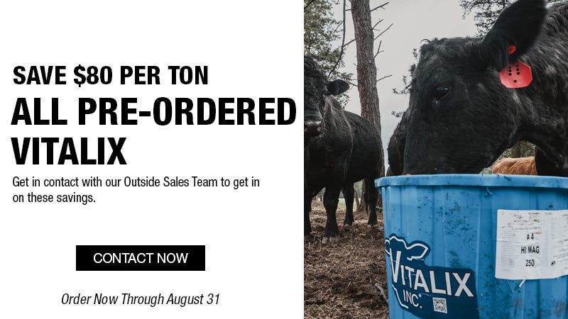 Cows eating from a blue Vitalix bucket in a wooded area. Text offers $80 savings per ton on pre-ordered Vitalix products. Deadline: August 31.