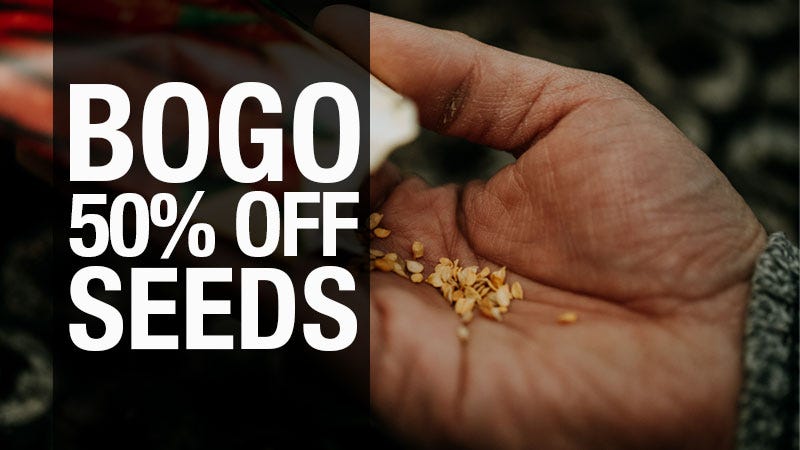 seeds poured into hand; "Buy one get one 50% off seeds"