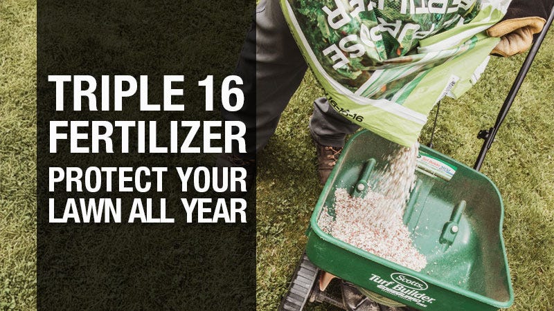 close shot of man pouring fertlizer in scotts spreader; "Triple 16 fertilizer, protect your lawn all year"