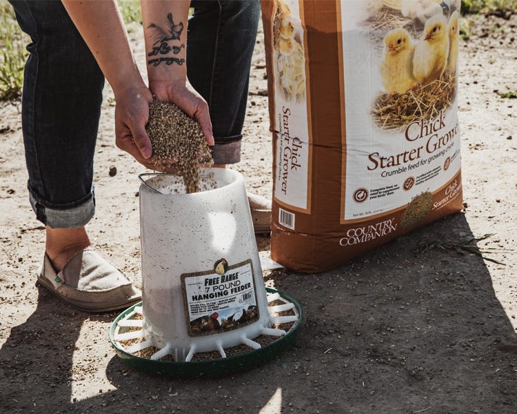 Someone using their hands to pour chicken feed into a feeder