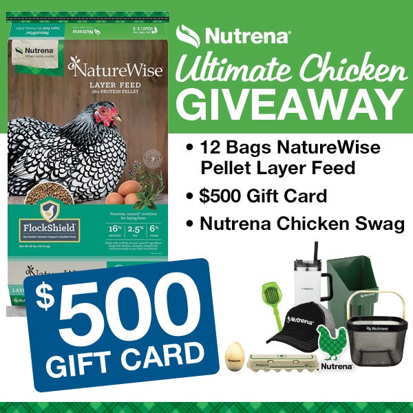 chicken giveaway $500 gift card