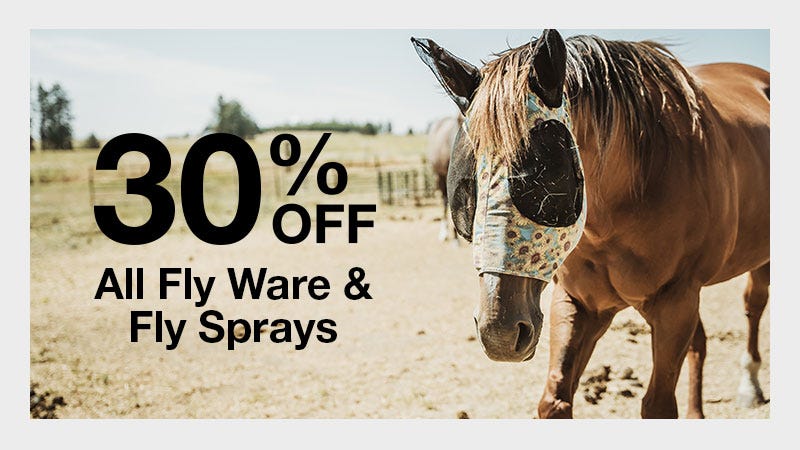 Promotional banner announcing 30% off all flyware and fly sprays.