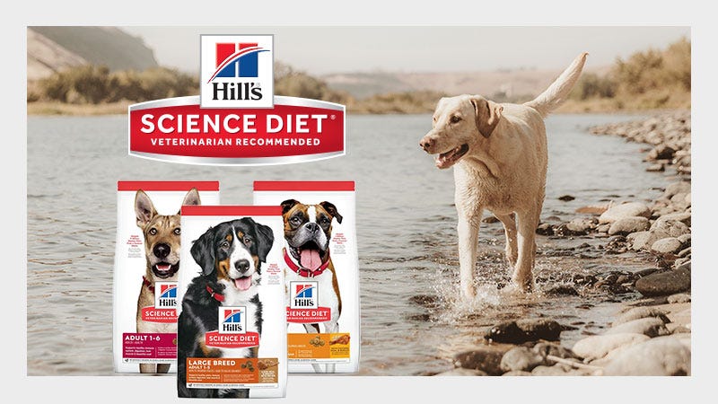 Dog Looking at 3 Bags of Hills Science Diet Dog Food