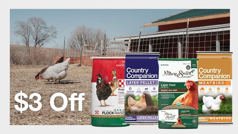 Four Bags of Layer Feeds with an Image of Chickens in the Background. The Text $3 Off is Displayed.