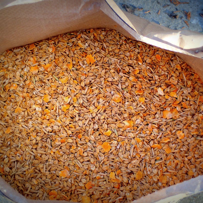Close up of North 40 Feeds Sweet COB feed in bag