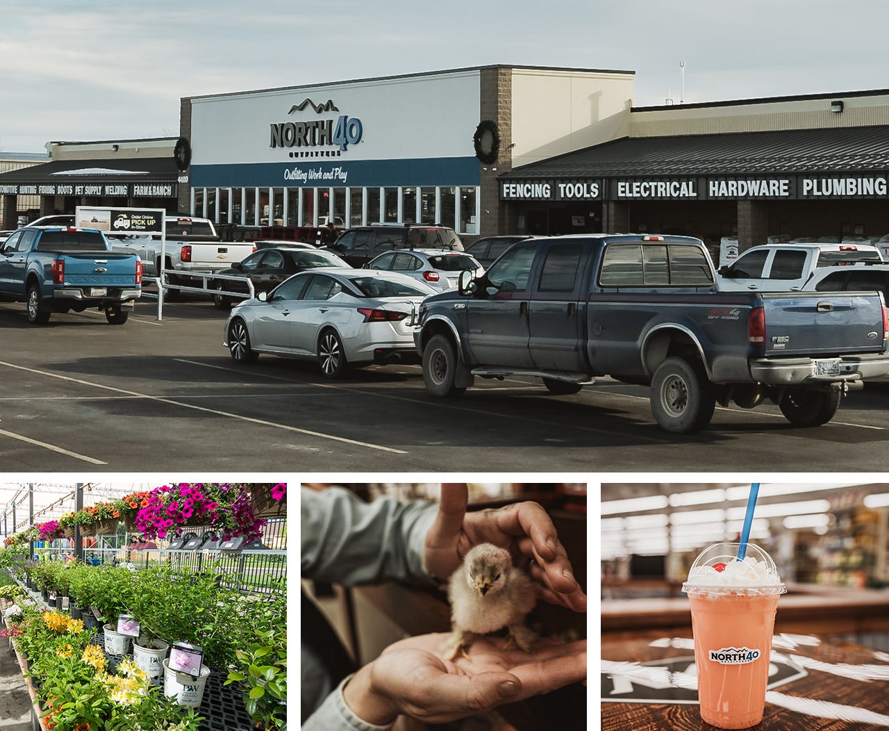 A collage of North 40 photos showing the East Great Falls store greenhouse a baby chick and a smoothie drink with North 40 sticker