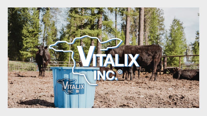 Vitalix Bucket with Cows in the Background