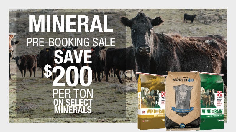 Wide shot of cattle in field. Text overlay reads "MINERAL: Pre-Booking Sale - Save $200 Per Ton On Select Minerals."