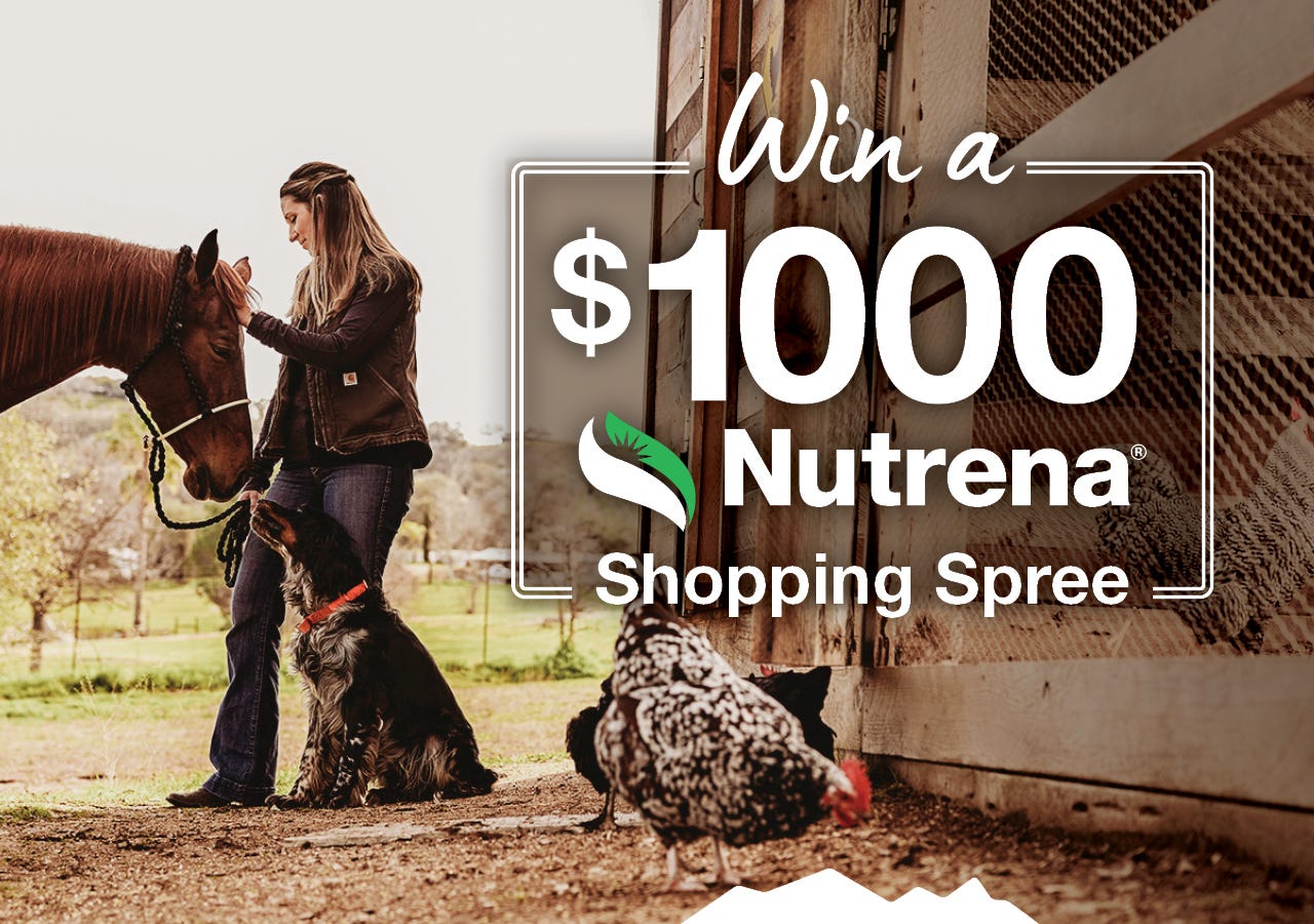 A woman stands outside a barn petting a brown horse while a black-and-brown dog sits beside her looking up. In the foreground, a black-and-white chicken walks near the barn door, and another chicken is partially visible inside. Overlaid text reads: “Win a