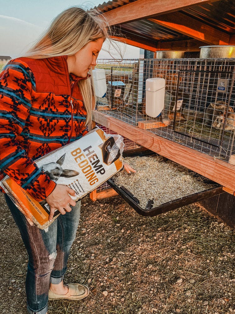 A hobby farmers distributes hemp bedding for her rabbits