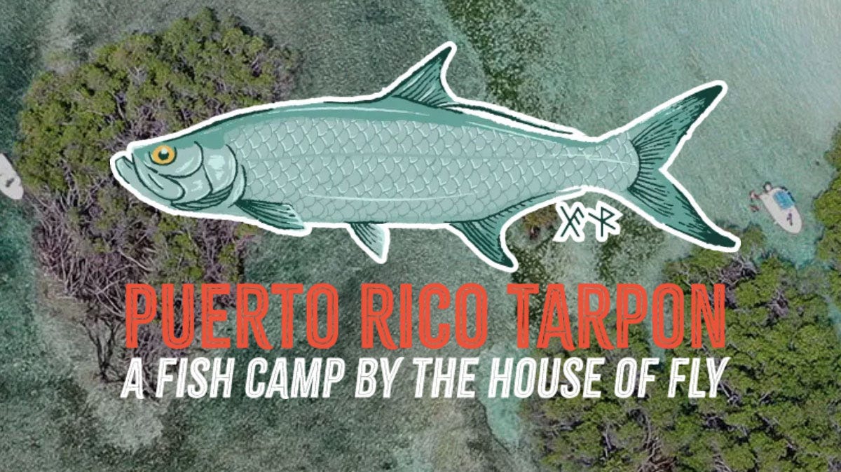 Puerto Rico Tarpon - A Fish Camp By The House of Fly