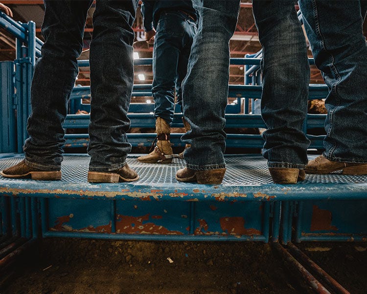 Group of people wearing western jeans and cowboy boots standing on a metal livestock chute platform.
