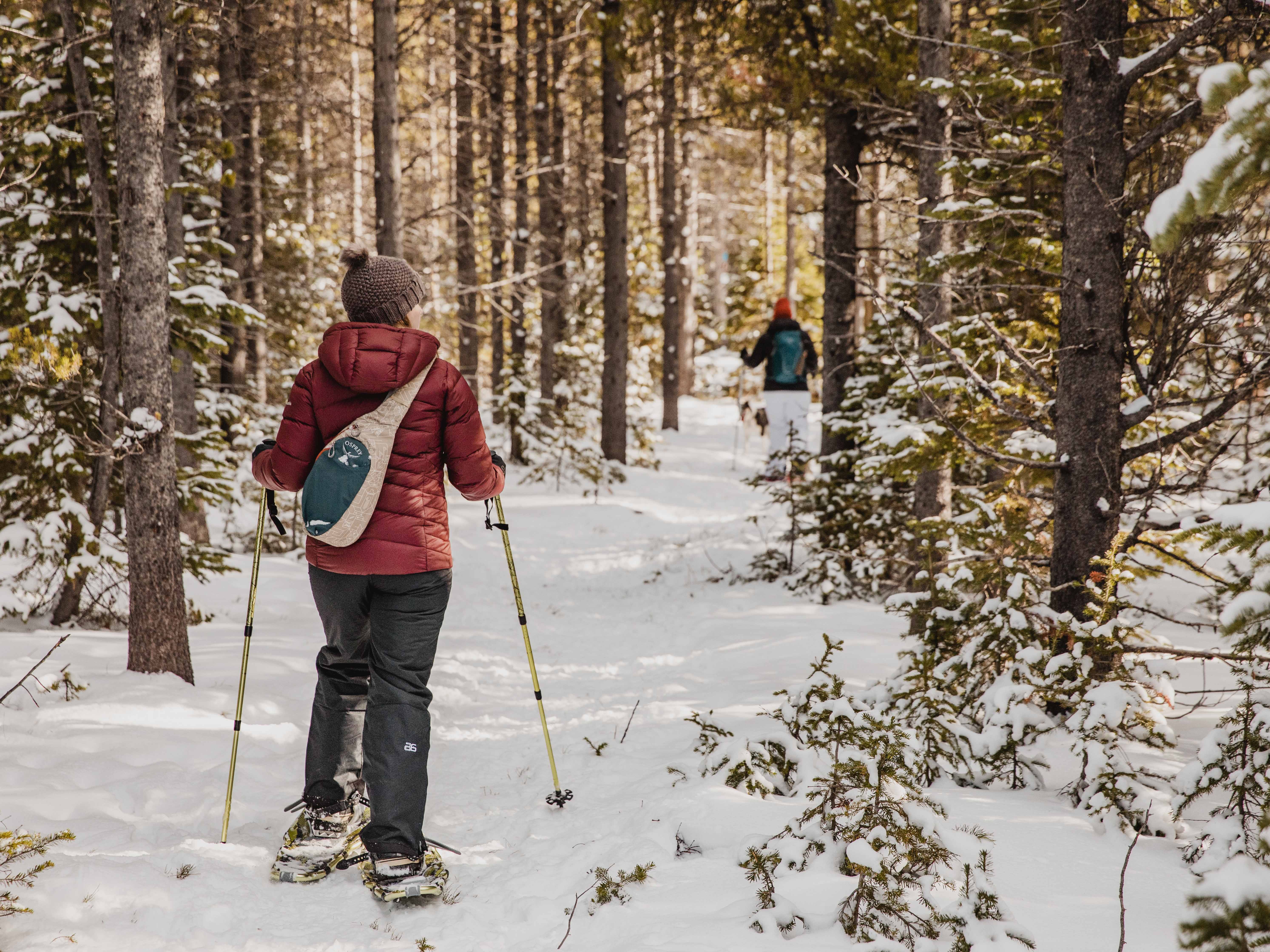 Two women on a trail snowshoe away from you on a bright winter day in the forest