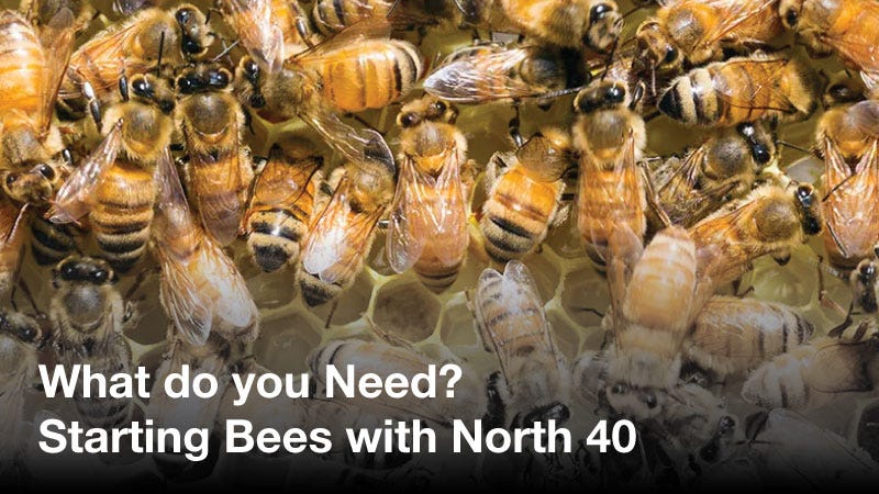 starting bees with north 40