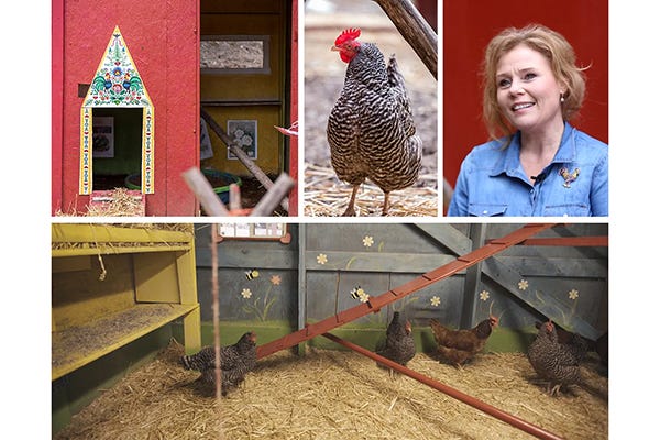 Collage of chicken coop in Coeur D'alene with winner Jodi.
