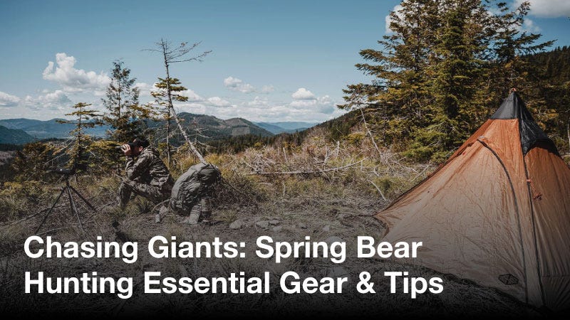 Chasing Giants: Spring Bear Hunting Essential Gear & Tips