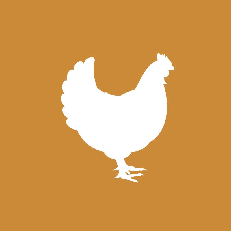 Tan chicken icon. Click to see Country Companion chicken feed options.