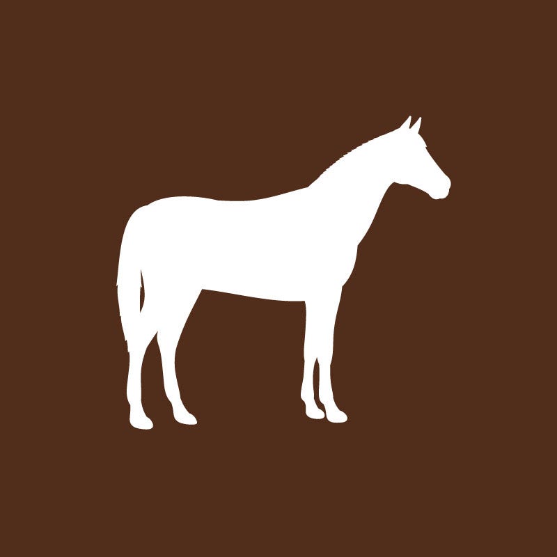Brown horse icon. Click to see Country Companion horse feed options.