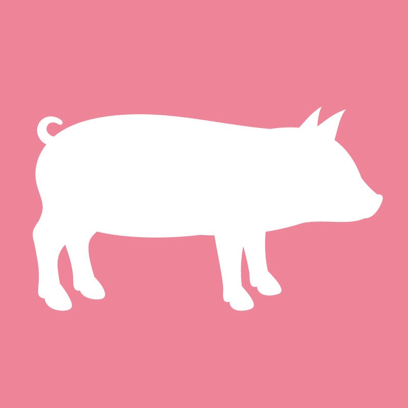 Pink pig icon. Click to see Country Companion pig feed options.