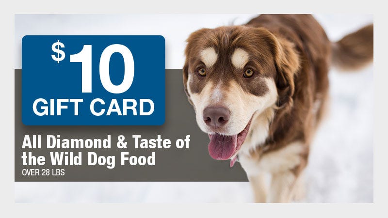 brown dog on snow with 10 gift card graphic