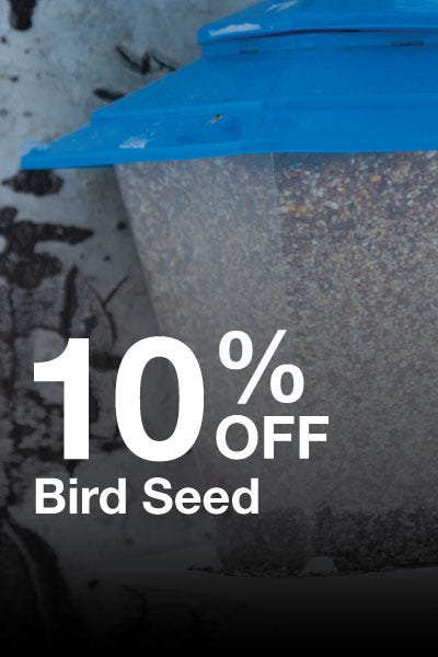 Discount offer: 10% off on bird seed, promoting savings for bird enthusiasts