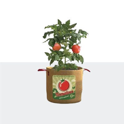Tomato plant icon.  CLick to shop lawn care.