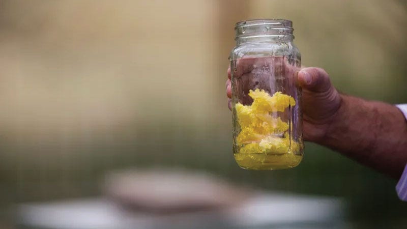 Hand holding mason jar with beeswax in it