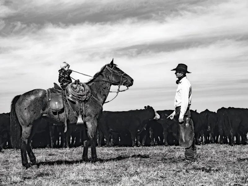 Black-and-white photo of a cowboy standing beside a horse, with a young child seated in the saddle, facing a herd of cattle.