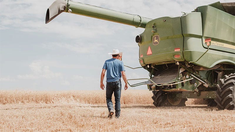 man standing in wheat field in jeans and short sleeve