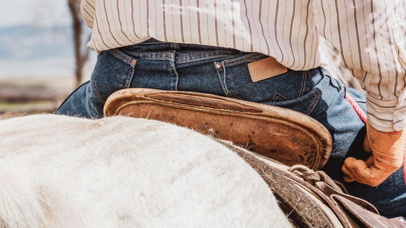 Close up image from behind of a man wearing wrangler jeans sits on a leather saddle on a white horse.
