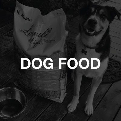 dog food