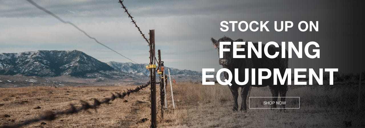  Promotional image of a fencing sale with cow, highlighting different fencing equipment and attire.