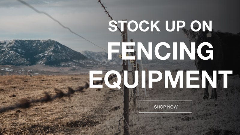  Promotional image of a fencing sale with cow, highlighting different fencing equipment and attire.