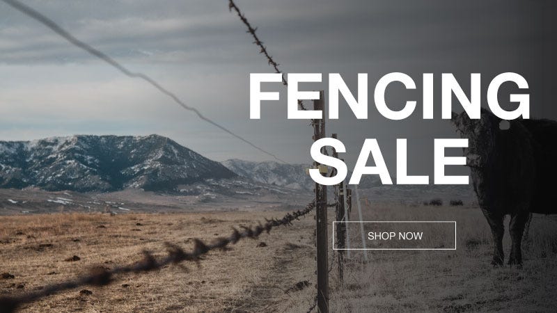  Promotional image of a fencing sale with cow, highlighting different fencing equipment and attire.