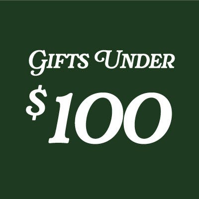 gifts under $100 copy on red background