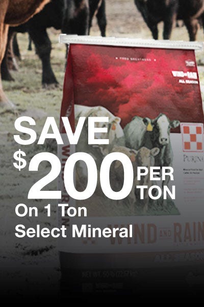 Save $200 on select mineral products with this promotional offer.