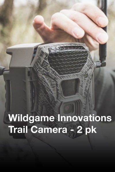 Wildlife camera promotion featuring a 50% discount tag.