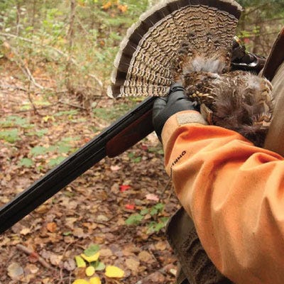 Hunter in orange jacket holding shotgun and harvested pheasants