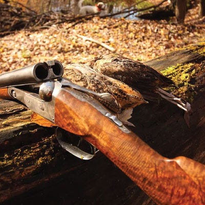 Side by side shotgun with action open laying over log next to two pheasants