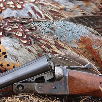 Side by side shotgun with action cracked in front of several harvested pheasants
