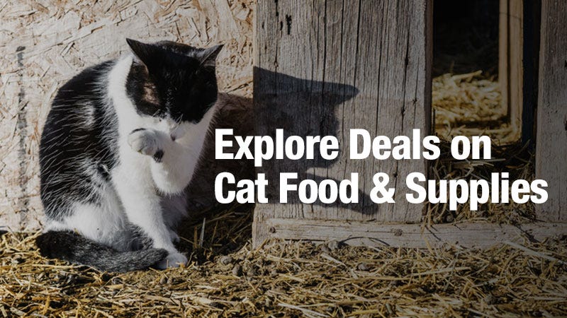 A black and white cat sits outside in the sun, grooming its paw next to a wooden structure, with the text "Explore Deals on Cat Food & Supplies" overlaid on the image.